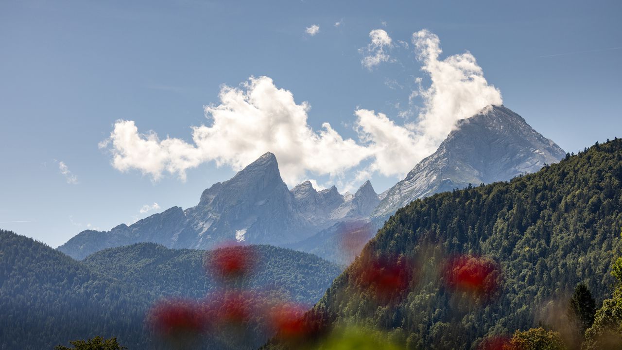 Watzmannblick Watzmannblick